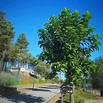 Parque De Campismo Da Barragem Do Vilar モイメンタ・ダ・ベイラ