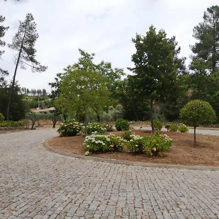 Parque De Campismo Da Barragem Do Vilar ホテル モイメンタ・ダ・ベイラ