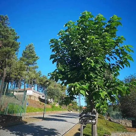 Parque De Campismo Da Barragem Do Vilar Moimenta da Beira
