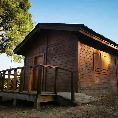 ホテル Parque De Campismo Da Barragem Do Vilar モイメンタ・ダ・ベイラ