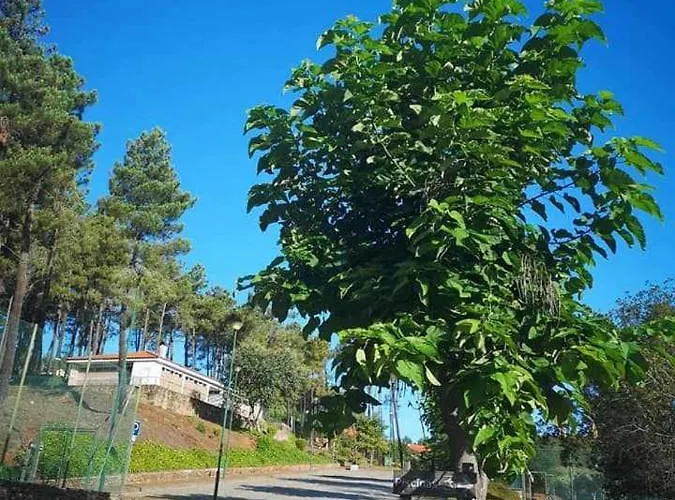Parque De Campismo Da Barragem Do Vilar 모이멘타 다 베이라